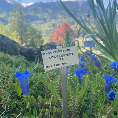 דירה Rez-de-chaussee, Cosy T3 4 A 6 Pers Avec Piscines Interieure & Exterieure A En Haute-savoie *
