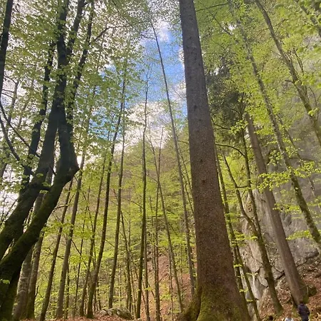 דירה Rez-de-chaussee, Cosy T3 4 A 6 Pers Avec Piscines Interieure & Exterieure A En Haute-savoie